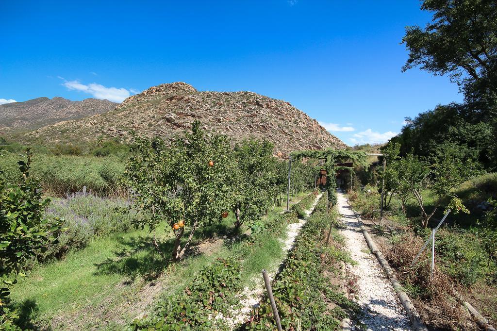 Kogman & Keisie Guest Farm Villa Montagu Buitenkant foto